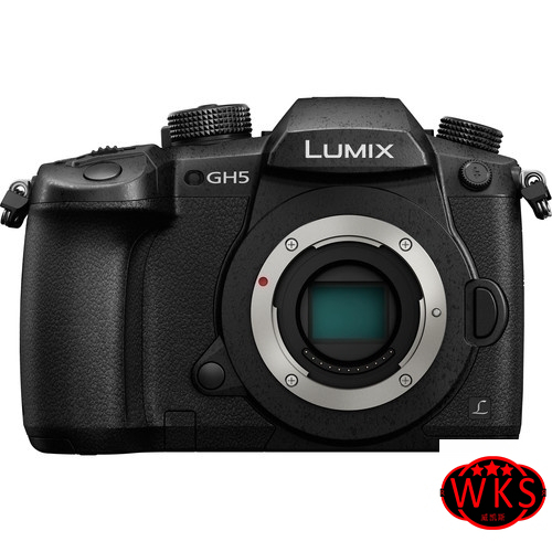 Panasonic Lumix GH5 Mirrorless Camera