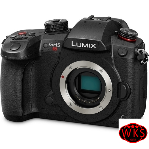 Panasonic Lumix DC-GH5s Mirrorless Camera Body