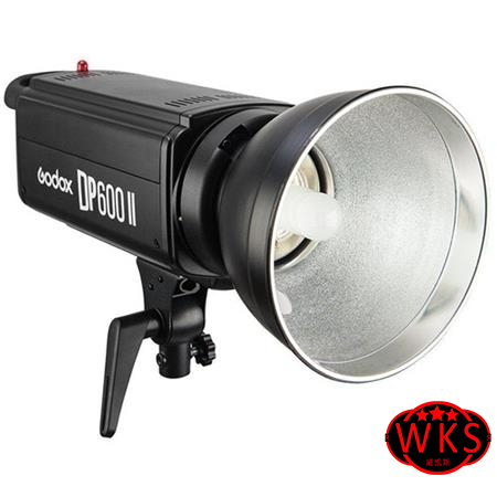 Godox DP600II Flash Head