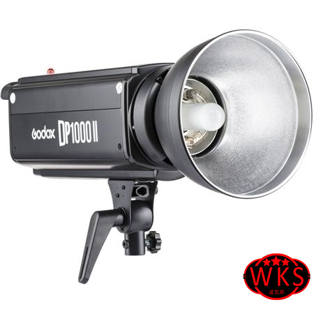Godox DP1000II Flash Head